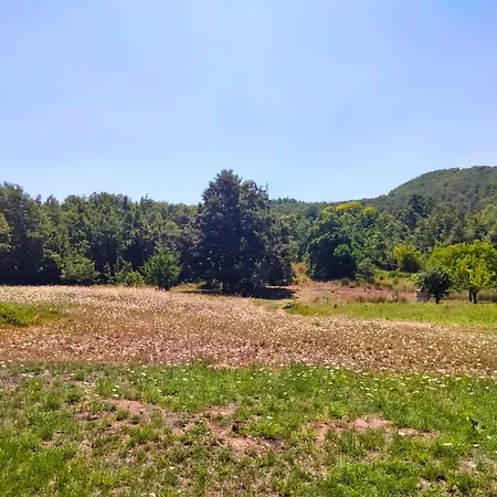 Alberi Maestri Eco Retreat