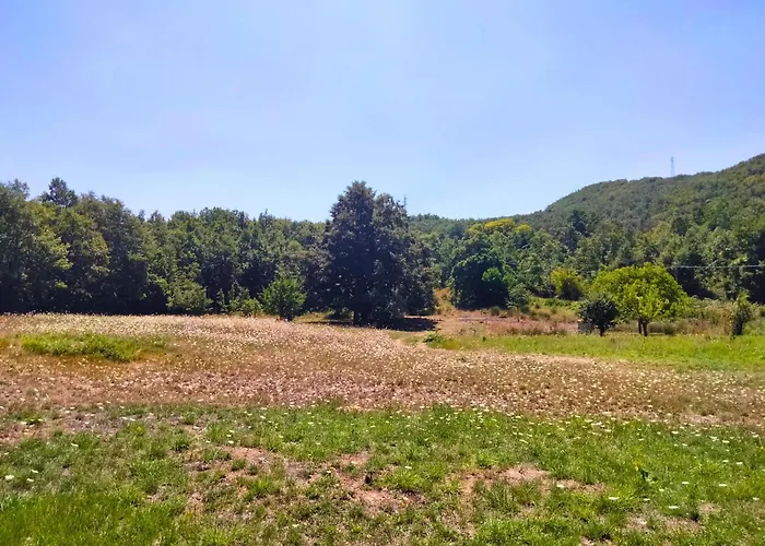 Alberi Maestri Eco Retreat